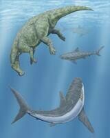 A artists reconstruction of two Squalicorax sharks circling a dead Hadrosaur.  By Dmitry Bogdanov 